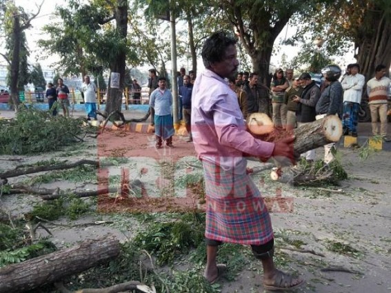 BJP Govtâ€™s KALAHARI-SMART City plan erupts massive resentment with en-masse felling of trees across Agartala